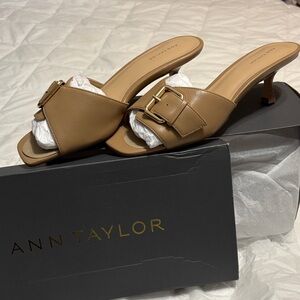 Ann Taylor Brown Heeled Mules